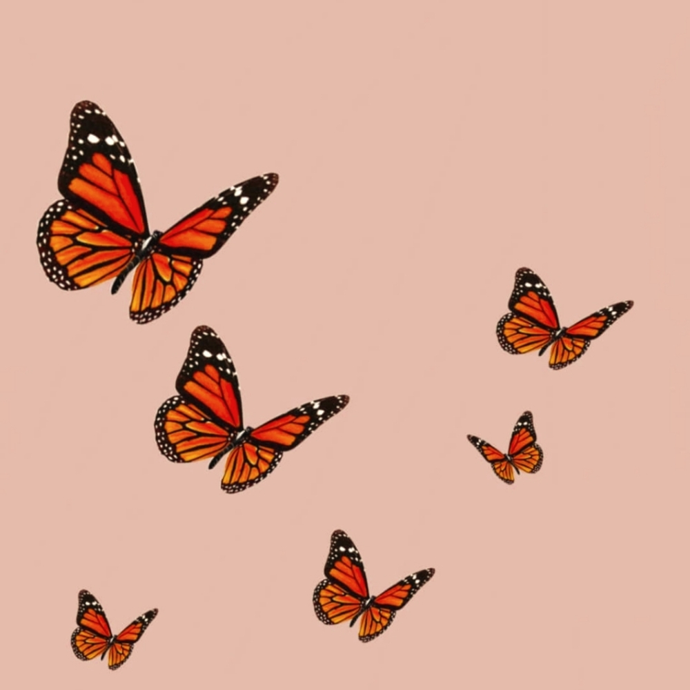 Meet your Poshmark Ambassador, Bre